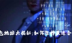 区块链钱包地址大揭秘：如何选择最适合你的钱