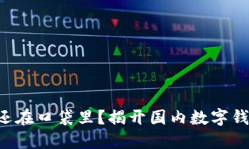 为何你的钱包还在口袋里？揭开国内数字钱包的神秘面纱！