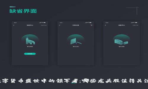 数字货币盛世中的领军者：哪些龙头股值得关注？