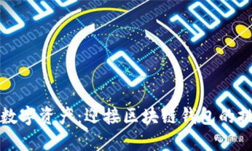 掌控你的数字资产：迎接区块链钱包的挑战与机遇