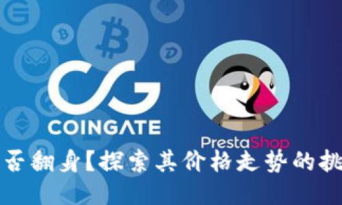 柴犬币能否翻身？探索其价格走势的挑战与机遇