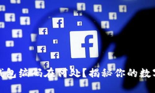 数字货币钱包编码在何处？揭秘你的数字资产秘密