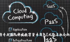 : 为何选择专业团队开发数字货币钱包？风险与机