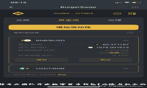 : 为何选择专业团队开发数字货币钱包？风险与机会的双重博弈！