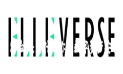 区块链钱包验证：为什么你的数字资产安全受威