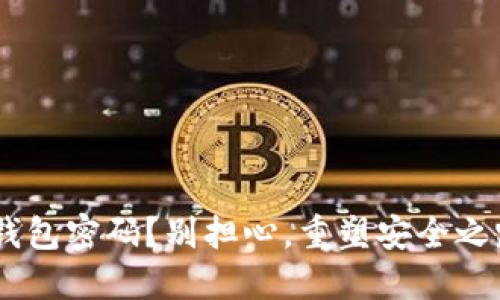 忘记了Token钱包密码？别担心，重塑安全之路的指南来了！