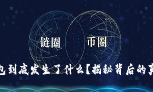 小狐狸钱包到底发生了什么？揭秘背后的真相与出路