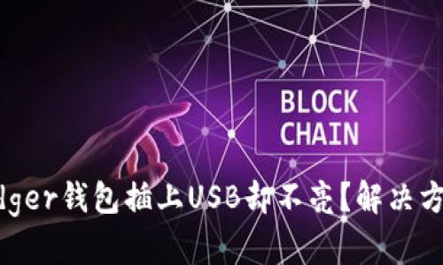 为何你的Ledger钱包插上USB却不亮？解决方案一网打尽！