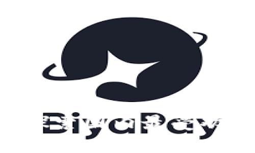 从未如此简单——探索国内最受欢迎的数字钱包选项！