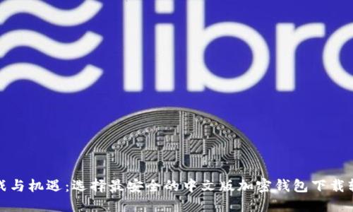 挑战与机遇：选择最安全的中文版加密钱包下载软件