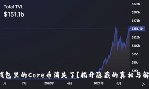小狐狸钱包里的Core币消失了？揭开隐藏的真相与解决方案！