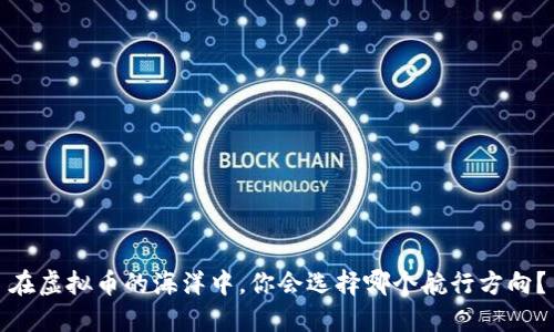 在虚拟币的海洋中，你会选择哪个航行方向？