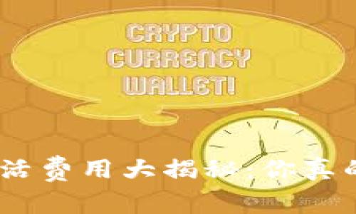 Metamask激活费用大揭秘：你真的准备好了吗？