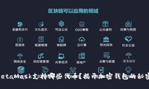 MetaMask支持哪些代币？揭开加密钱包的秘密！