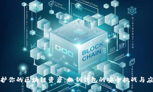 如何保护你的区块链资产：私钥钱包的安全挑战与应对策略