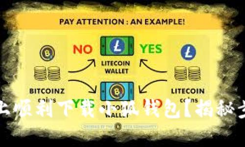 如何在谷歌上顺利下载小狐钱包？揭秘步骤与小贴士