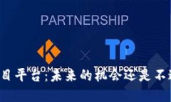 区块链项目平台：未来的机会还是不过是泡沫？