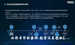 比特币价格波动：投资还是投机？