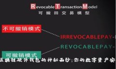 揭开区块链硬件钱包的神秘面纱：你的数字资产