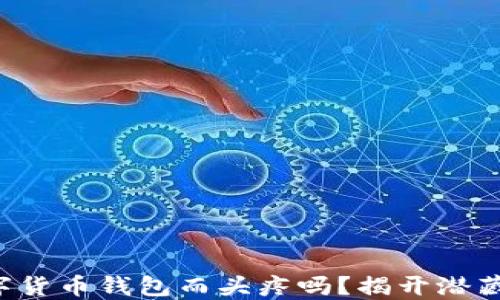 
你还在为选择数字货币钱包而头疼吗？揭开潜藏的财务安全面纱！