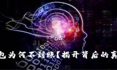 MetaMask钱包为何不到账？揭开背后的真相与解决方案
