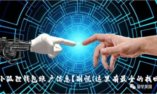 丢失小狐狸钱包账户信息？别慌！这里有最全的找回攻略