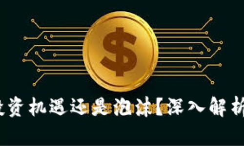 柴犬币：投资机遇还是泡沫？深入解析价格走势