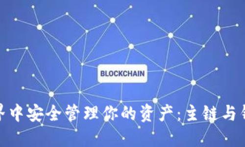 如何在区块链世界中安全管理你的资产：主链与钱包的挑战与机遇