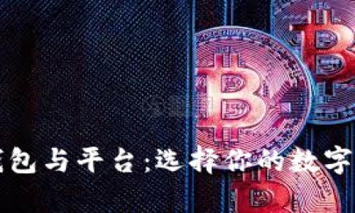 虚拟币的钱包与平台：选择你的数字财富保护者