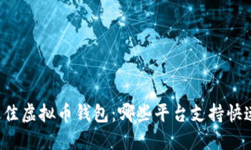 寻找最佳虚拟币钱包：哪些平台支持快速提现？