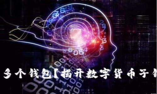 一个钱包，还是多个钱包？揭开数字货币子钱包数量的真相