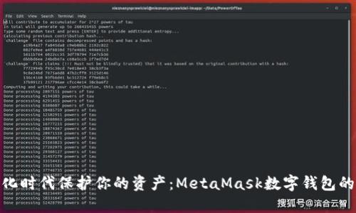 如何在数字化时代保护你的资产：MetaMask数字钱包的挑战与机遇