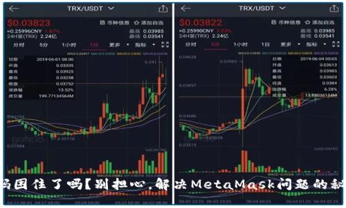 你被验证码困住了吗？别担心，解决MetaMask问题的秘密在这里！