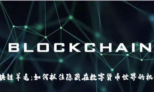 区块链羊毛：如何抓住隐藏在数字货币世界的机会？