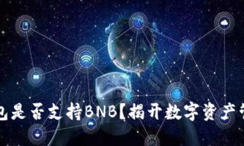 比特派钱包是否支持BNB？揭开数字资产管理的秘密