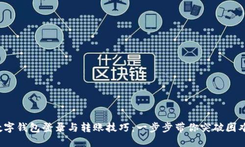 数字钱包登录与转账技巧：一步步带你突破困难！