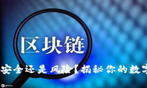 小狐钱包：安全还是风险？揭秘你的数字资产之路