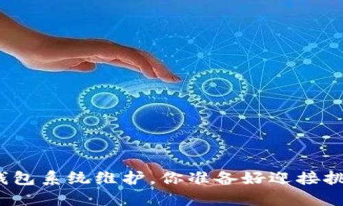 数字币钱包系统维护，你准备好迎接挑战了吗？