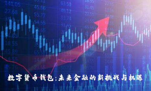 数字货币钱包：未来金融的新挑战与机遇