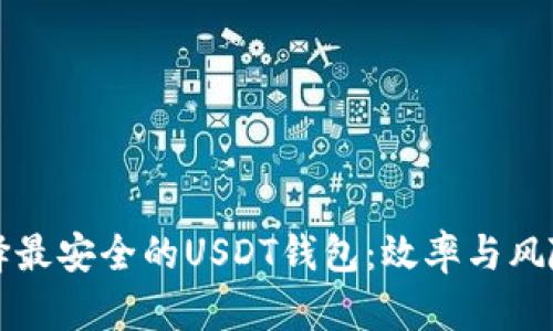 如何选择最安全的USDT钱包：效率与风险的较量