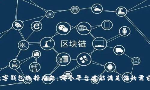 数字钱包选择难题：哪个平台才能满足你的需求？