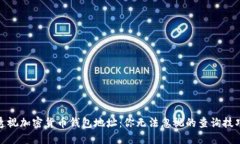 透视加密货币钱包地址：你无法忽视的查询技巧