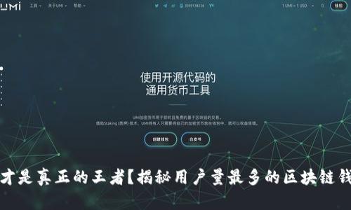 谁才是真正的王者？揭秘用户量最多的区块链钱包