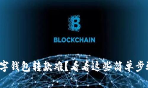 数字钱包转款难？看看这些简单步骤！