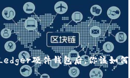 丢失Ledger硬件钱包后，你该如何应对？