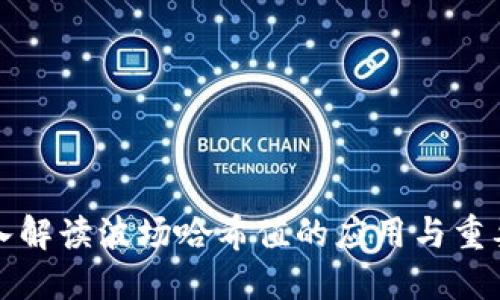 深入解读波场哈希值的应用与重要性