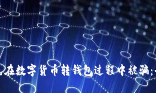 如何避免在数字货币转钱包过程中被骗：全面指南