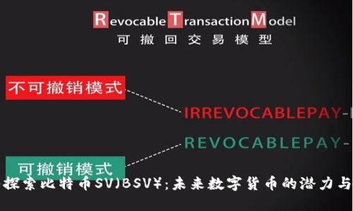 深入探索比特币SV（BSV）：未来数字货币的潜力与挑战