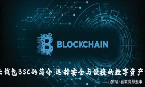 币圈三大钱包BSC的简介：选择安全与便捷的数字资产管理工具