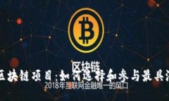 探索开源区块链项目：如何选择和参与最具潜力